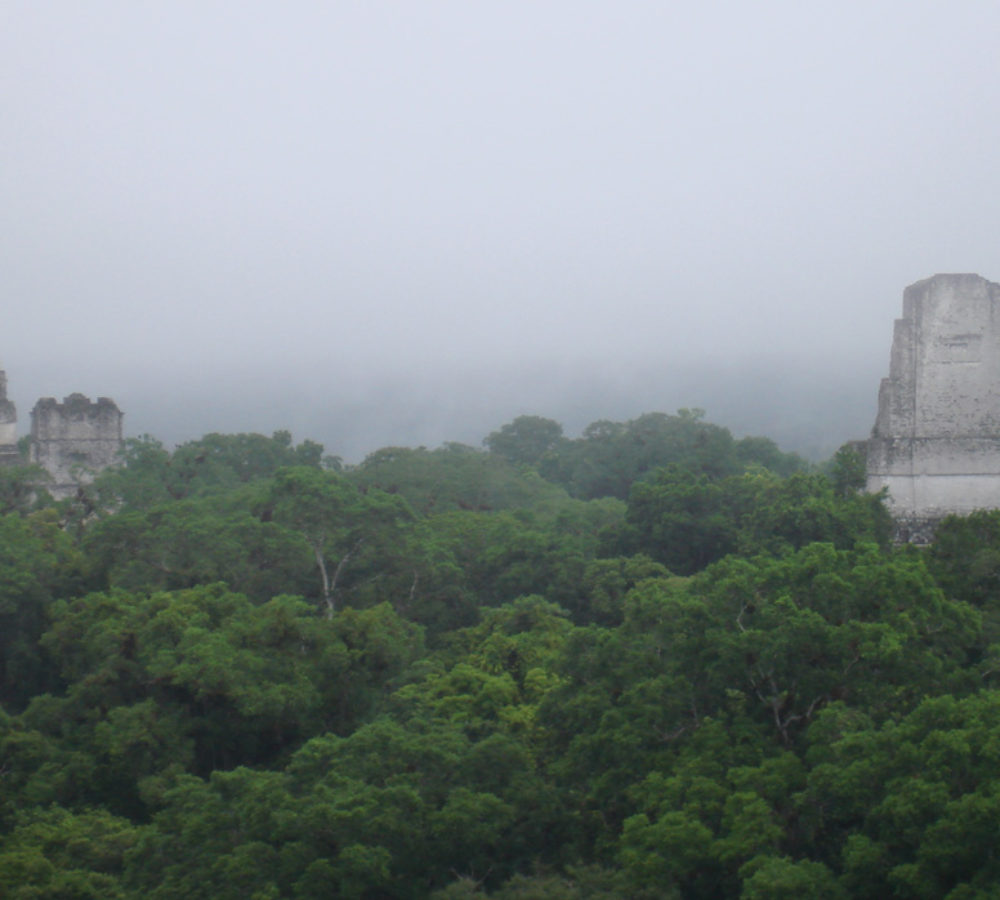 2-Vista-desde-el-Templo-IV-el-mas-alto-de-Tikal